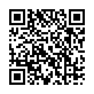 qrcode:https://agtaxi.de/wombats-soldaritaet.html